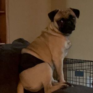 Meet your Posher, Mindy